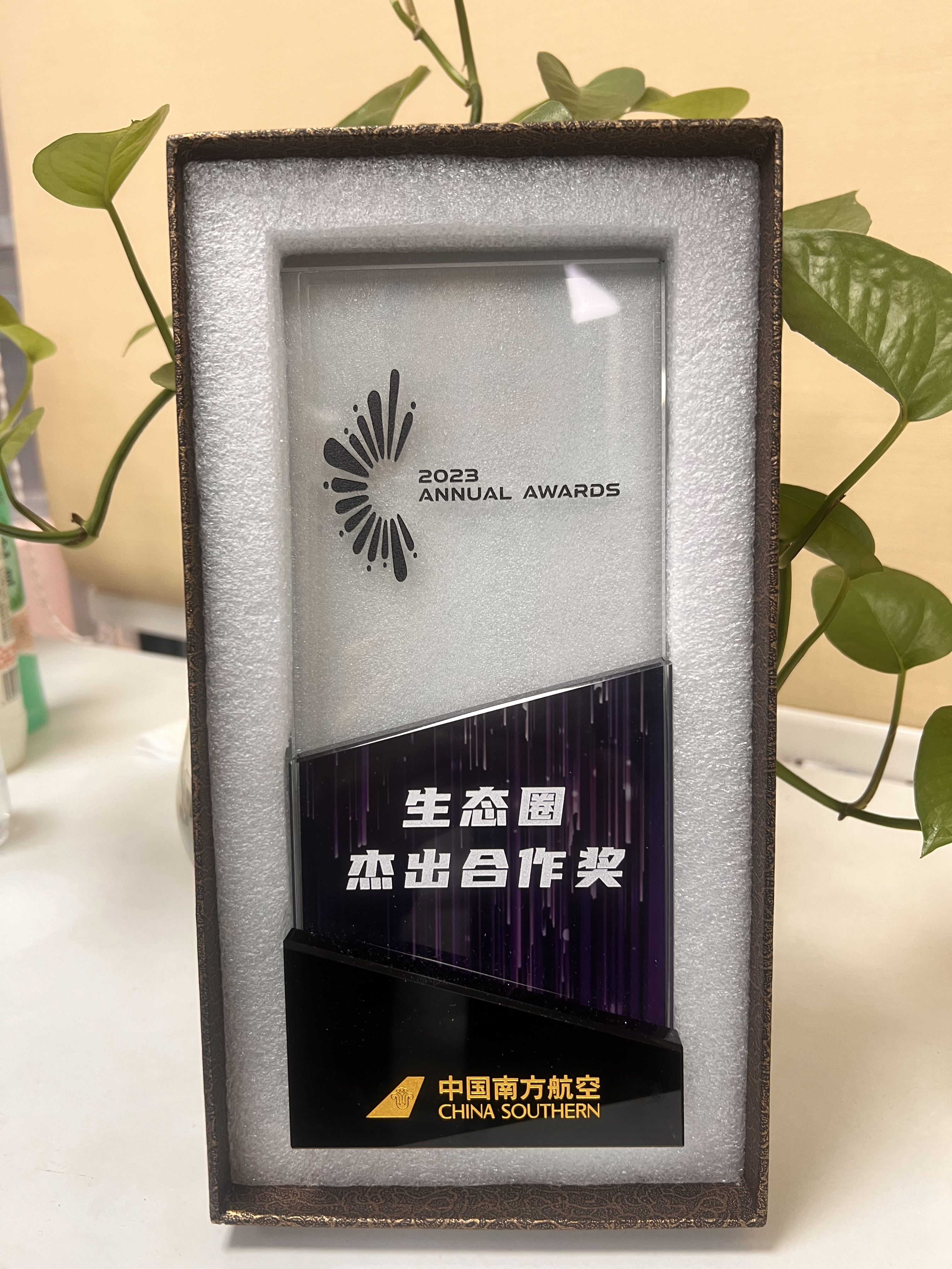 湖北外服荣获中国南方航空生态圈杰出合作奖